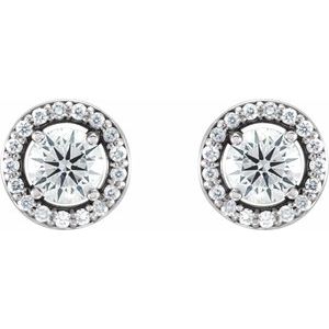 14K White 1/2 CTW Natural Diamond Halo-Style Earrings-4 Mm-14K White
